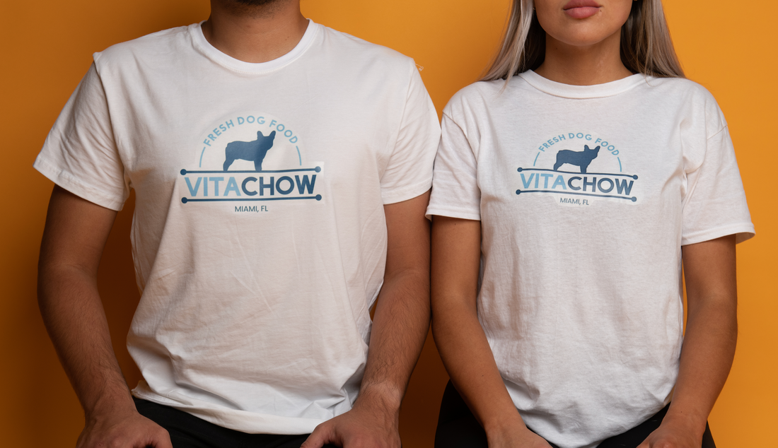 Why Choose Vitachow: What Sets Us Apart in the World of Dog Food