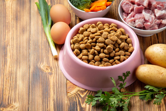 The Benefits of Human-Grade Ingredients in Dog Food